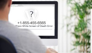 How to fix “White Screen of Death” Error in WordPress